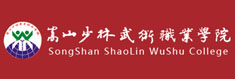 嵩山少林武术职业学院